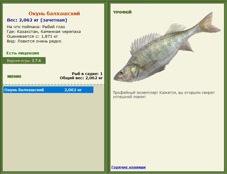 турниры • РУССКАЯ РЫБАЛКА