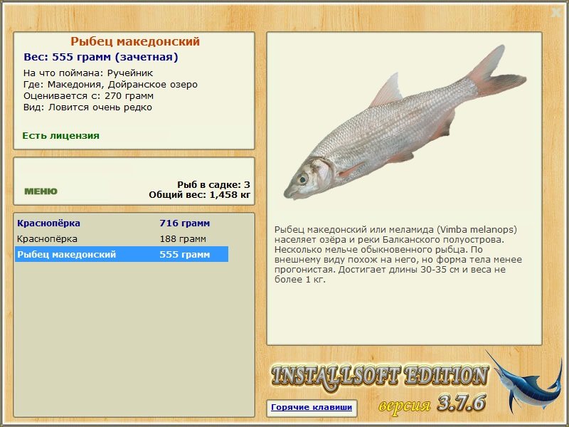 турниры • РУССКАЯ РЫБАЛКА