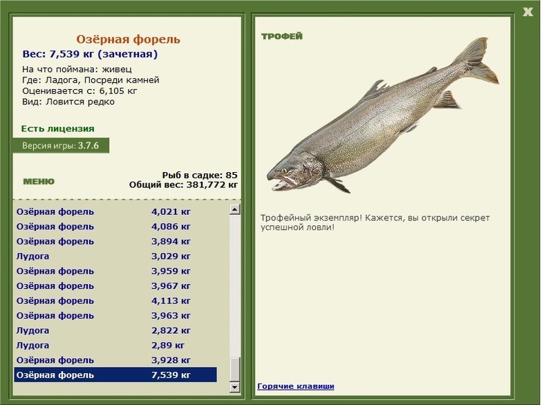 Посреди камней 