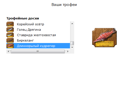 турниры • РУССКАЯ РЫБАЛКА