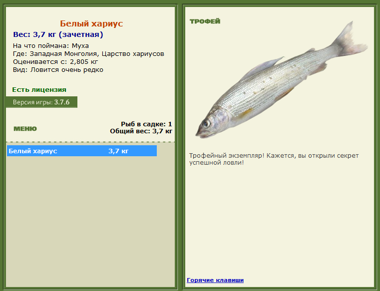 турниры • РУССКАЯ РЫБАЛКА