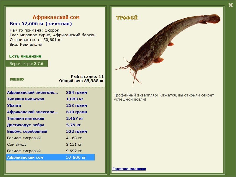 Африканский бархан 