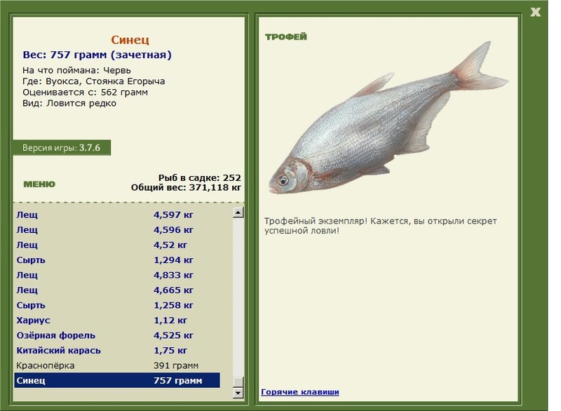 Стоянка Егорыча 