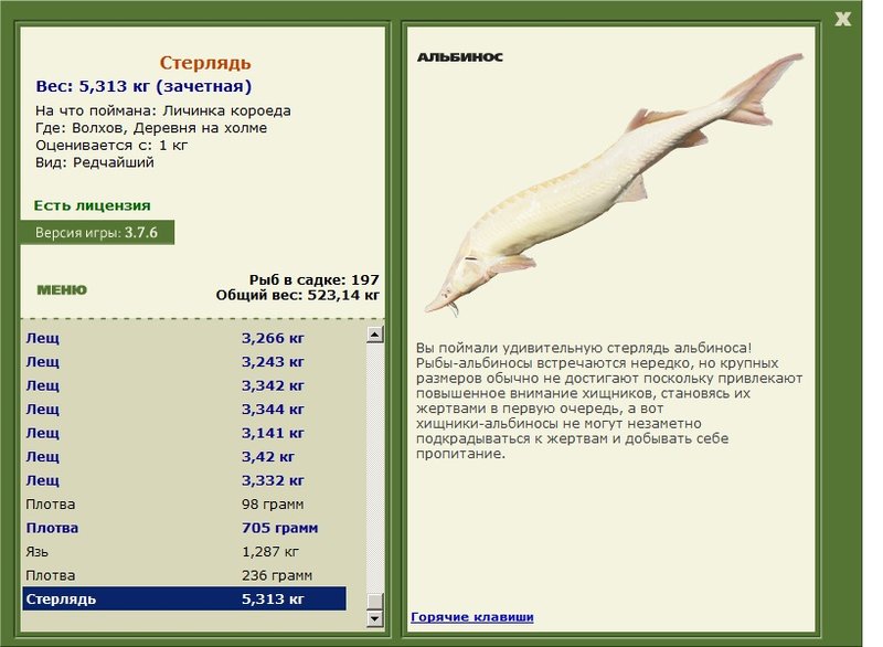 Деревня на холме 