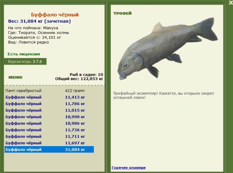 Буффало чёрный 