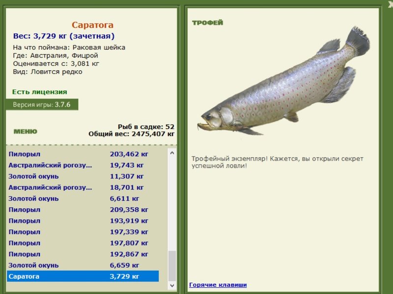 Саратога 