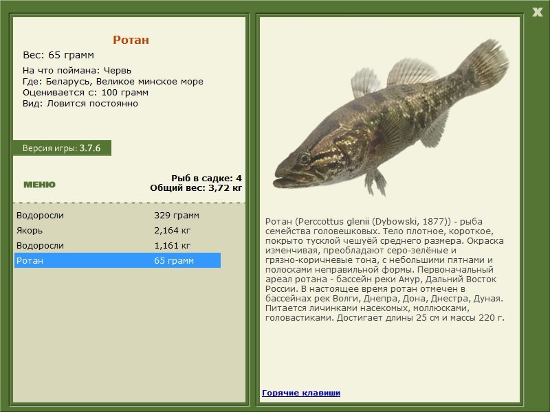 Великое минское море 