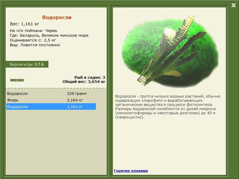 Великое минское море 