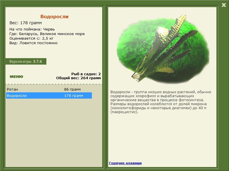 Великое минское море 