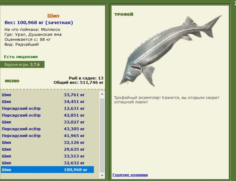 Шип 