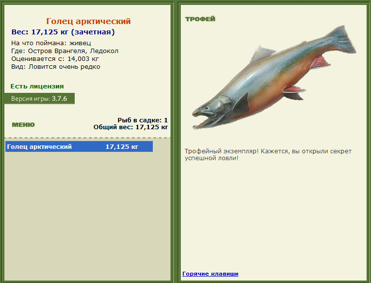 турниры • РУССКАЯ РЫБАЛКА