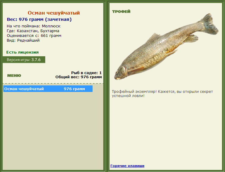 турниры • РУССКАЯ РЫБАЛКА