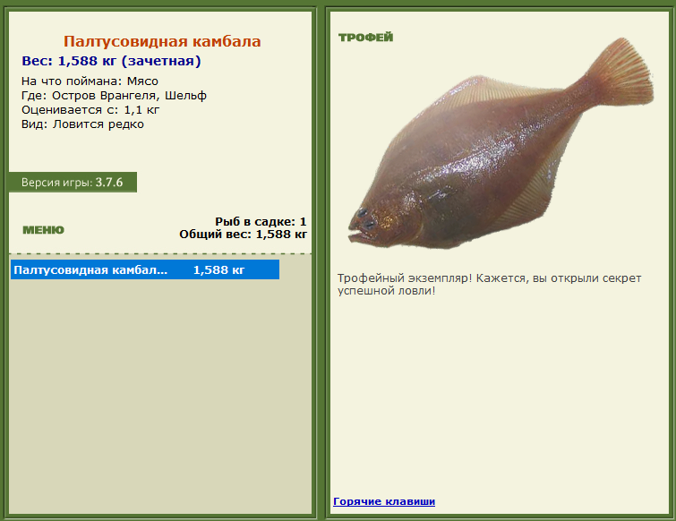 турниры • РУССКАЯ РЫБАЛКА