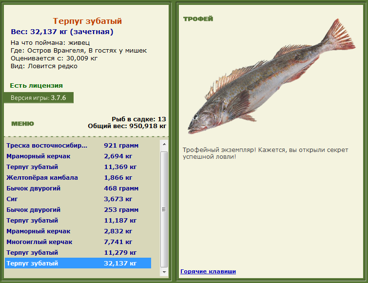 турниры • РУССКАЯ РЫБАЛКА