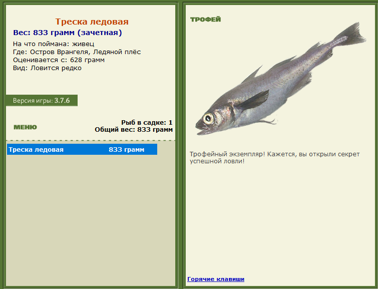турниры • РУССКАЯ РЫБАЛКА