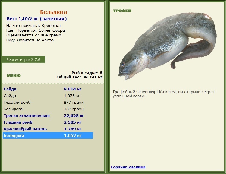Бельдюга 