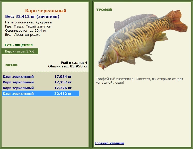 Карп зеркальный 