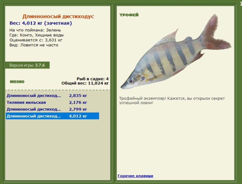Длинноносый дистиходус 