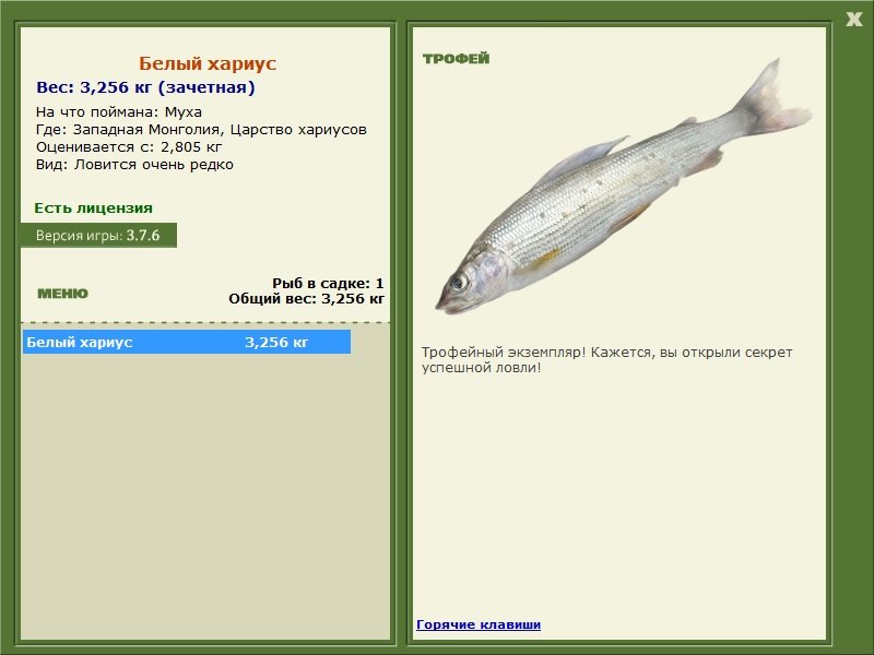 Царство хариусов 