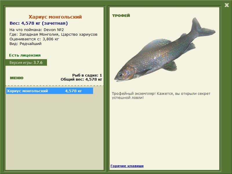 Хариус монгольский 