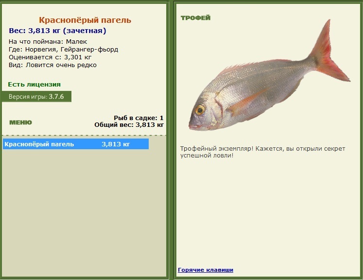 Краснопёрый пагель 