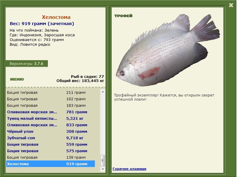 РУССКАЯ РЫБАЛКА Installsoft Edition 