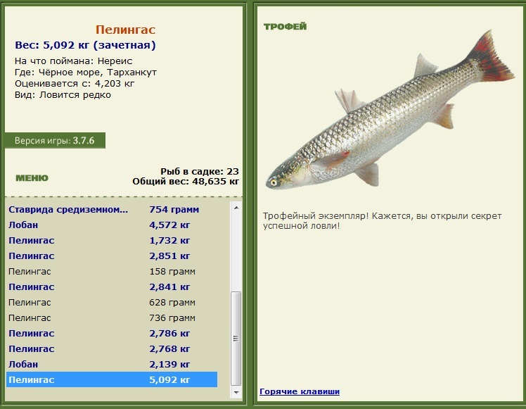 Пелингас 