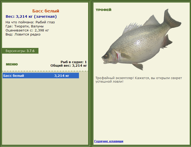 турниры • РУССКАЯ РЫБАЛКА