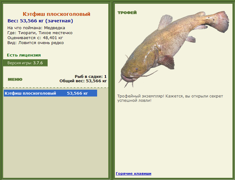 турниры • РУССКАЯ РЫБАЛКА
