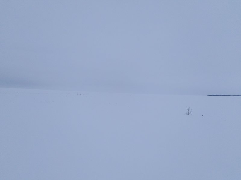  Страница 2 - Форум 