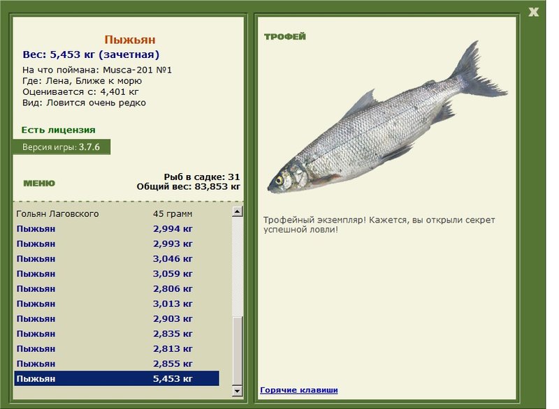 Ближе к морю 