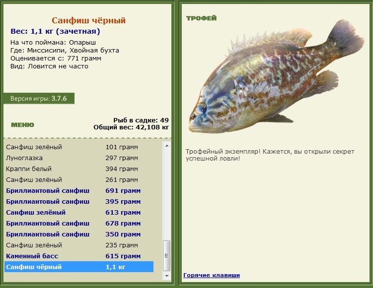 Санфиш чёрный 