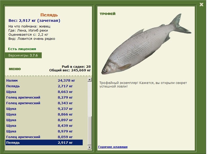 Изгиб реки 