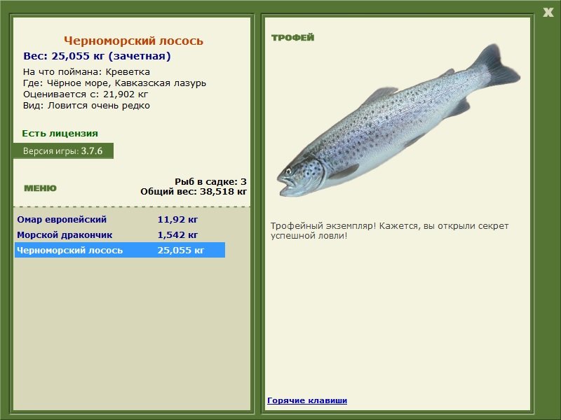 Кавказская лазурь 