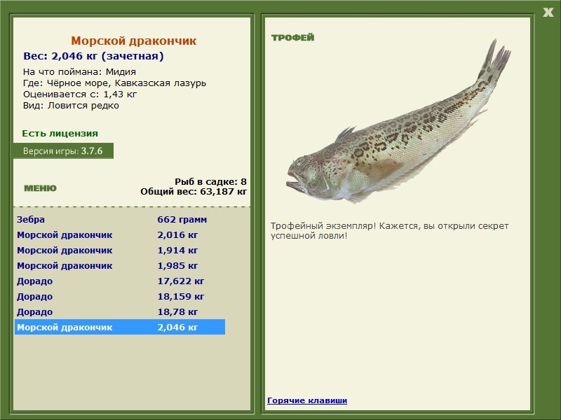 Морской дракончик 