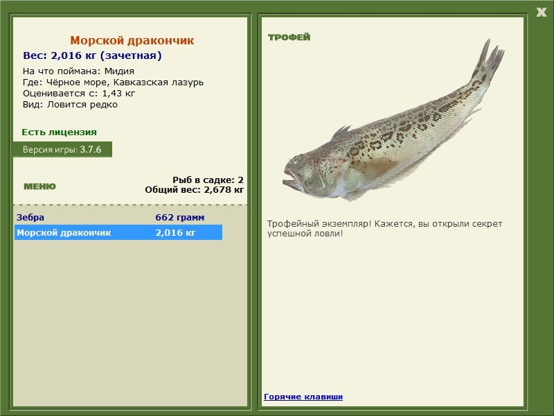 Морской дракончик 
