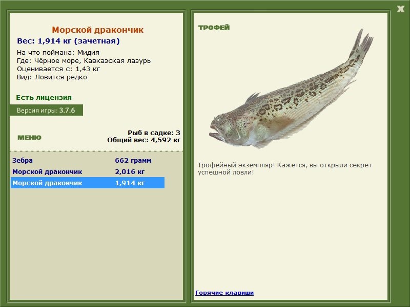 Морской дракончик 