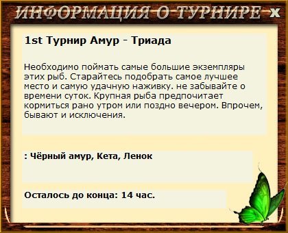 Понтонный мост 