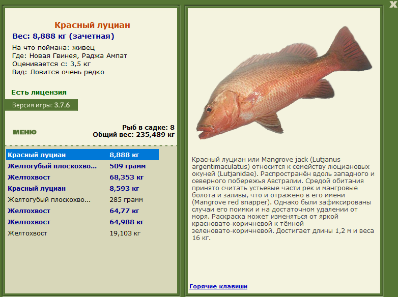 турниры • РУССКАЯ РЫБАЛКА