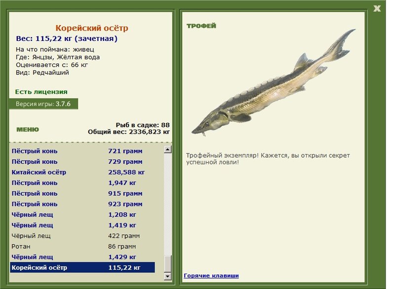 Корейский осётр 