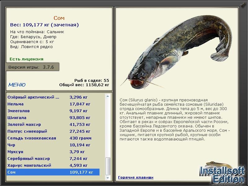 Днепр 