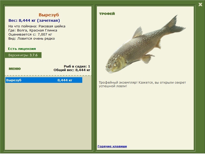 турниры • РУССКАЯ РЫБАЛКА