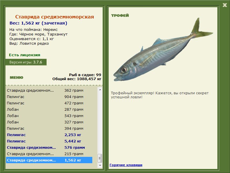 Тарханкут 