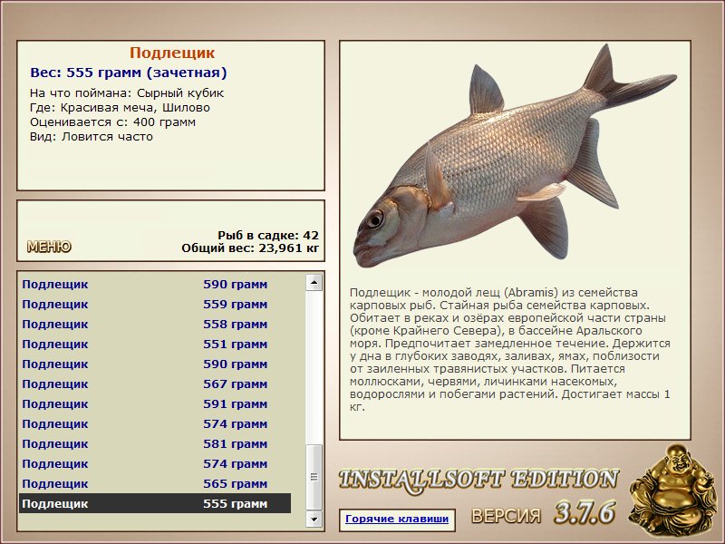 турниры • РУССКАЯ РЫБАЛКА