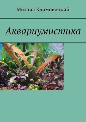  Ответить