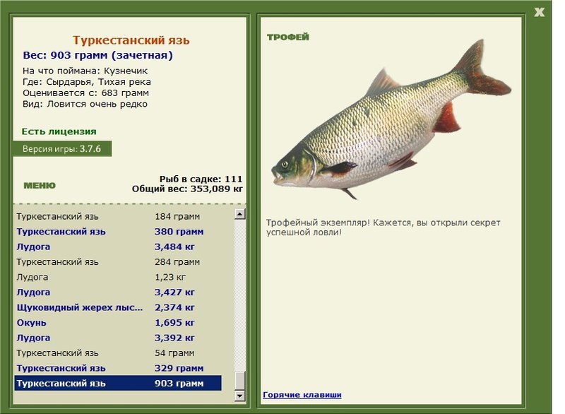 Туркестанский язь 