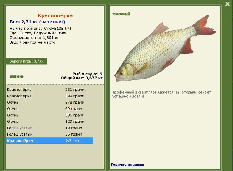 Радужный штиль 