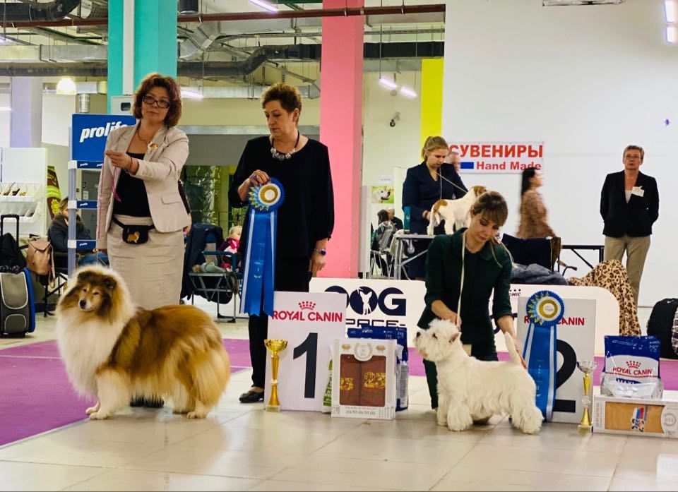 Полезные советы для участников выставок