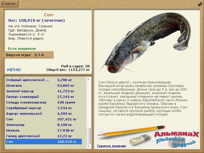 Днепр 