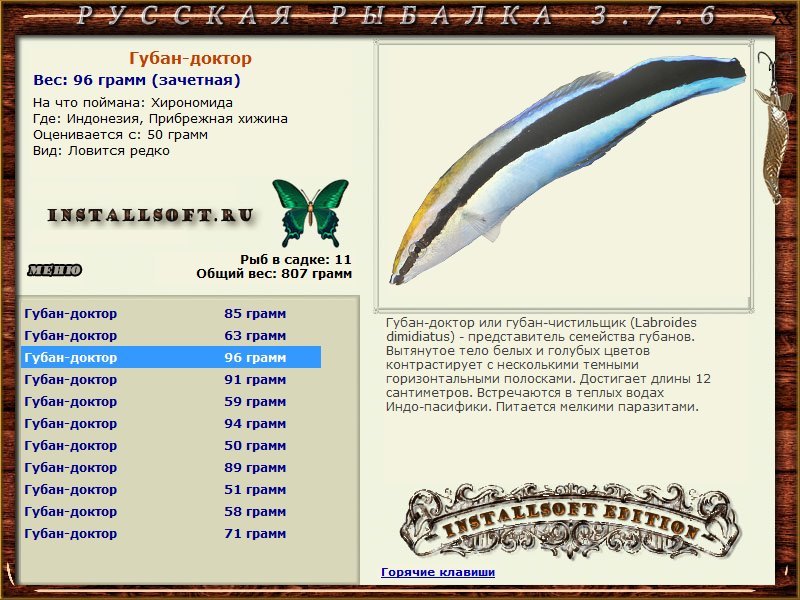 Прибрежная хижина 
